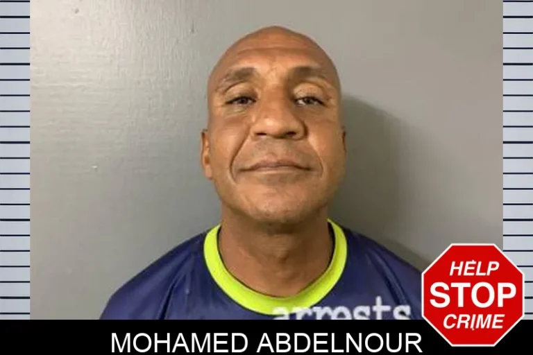 Mohamed Abdelnour