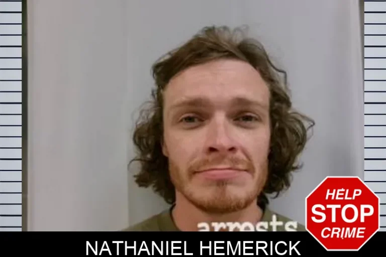 Nathaniel Hemerick