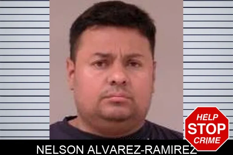 Nelson Alvarez-Ramirez