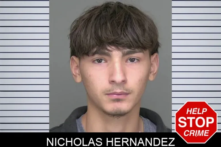Nicholas Hernandez