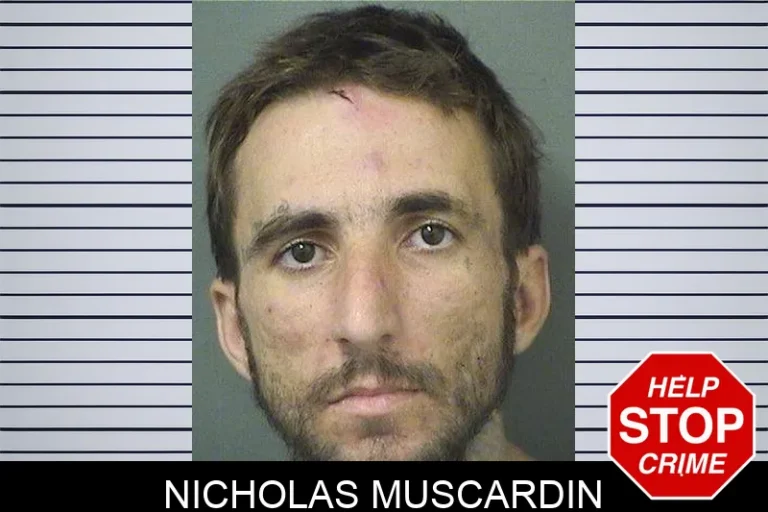 Nicholas Muscardin