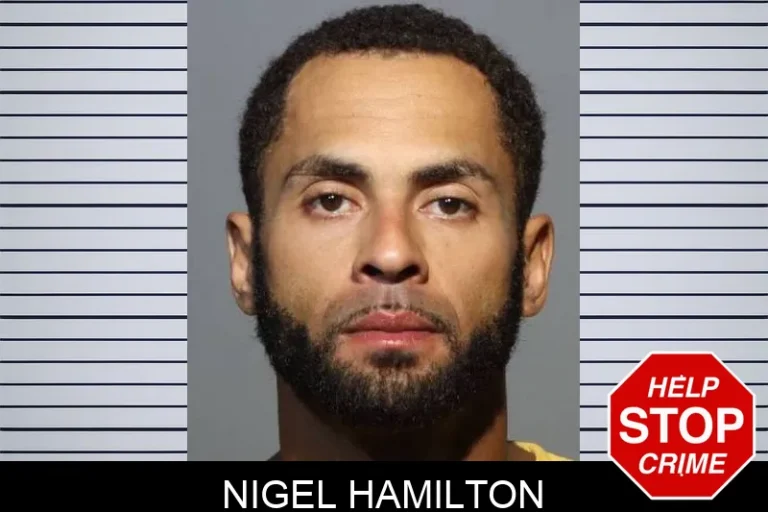 Nigel Hamilton