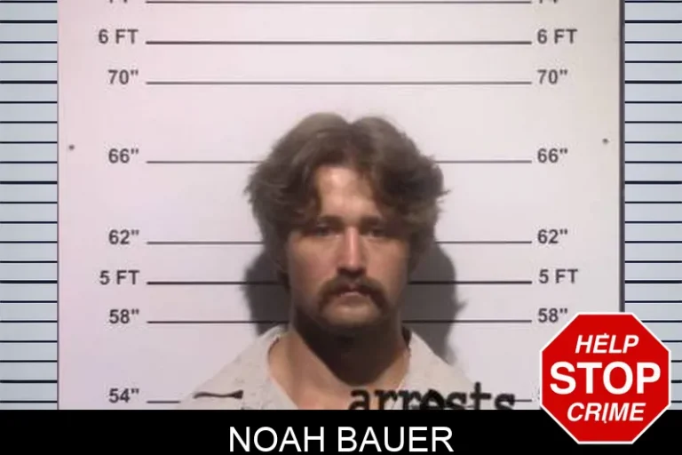 Noah Bauer
