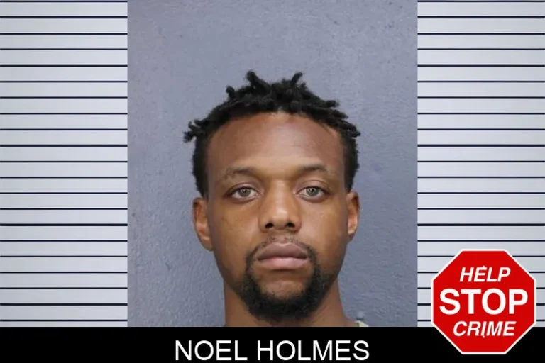 Noel Holmes