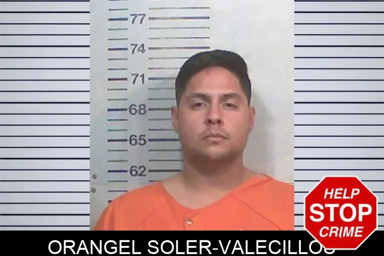 Orangel Soler-Valecillos