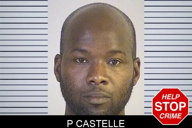 P Castelle