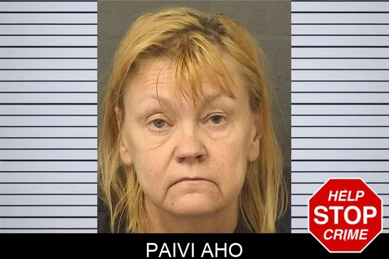 Paivi Aho