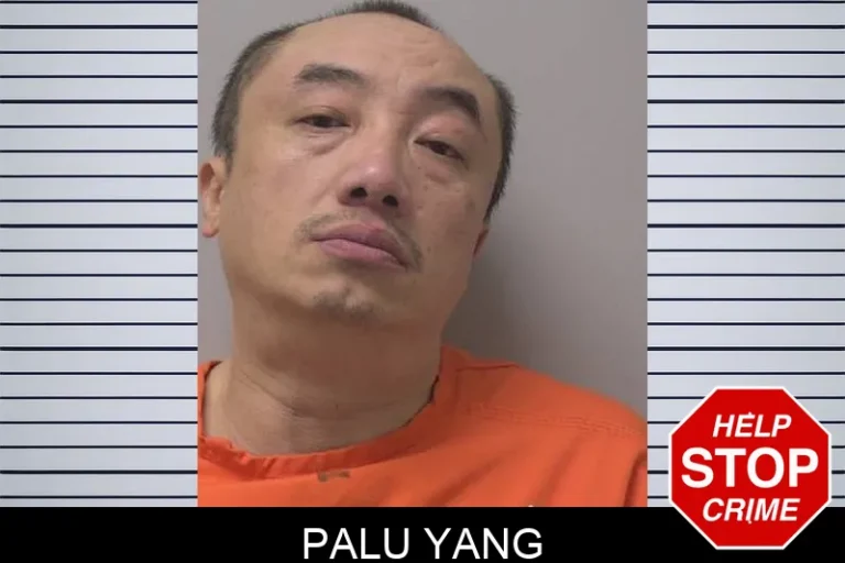 Palu Yang