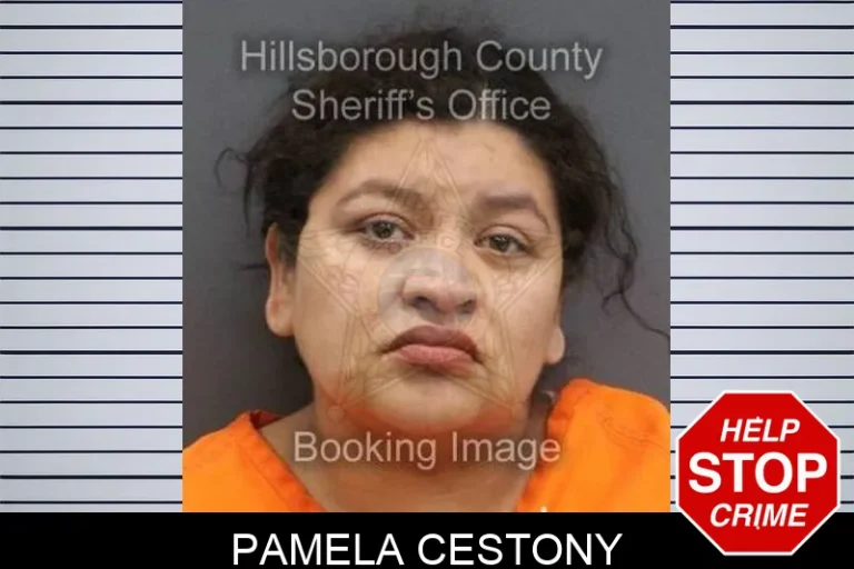 Pamela Cestony