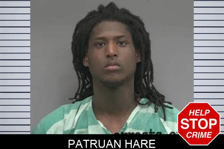 Patruan Hare
