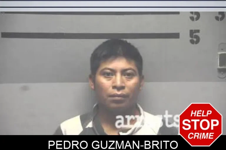 Pedro Guzman-Brito