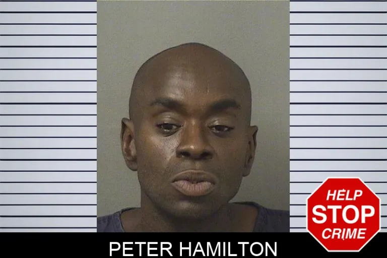 Peter Hamilton