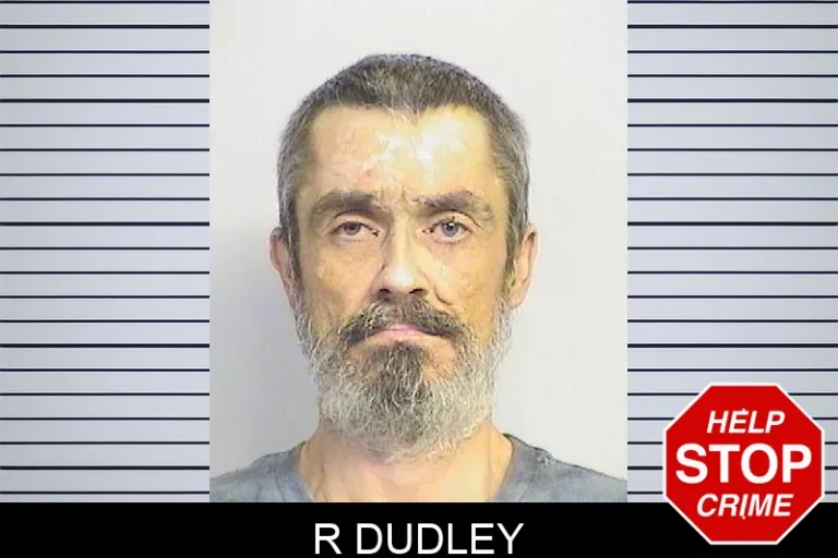 R Dudley