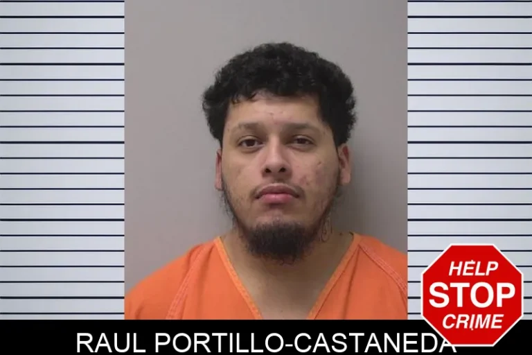 Raul Portillo-Castaneda
