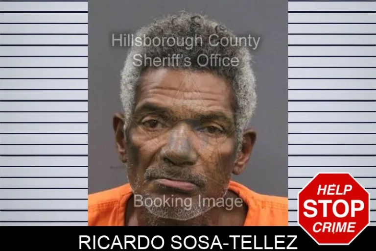 Ricardo Sosa-Tellez