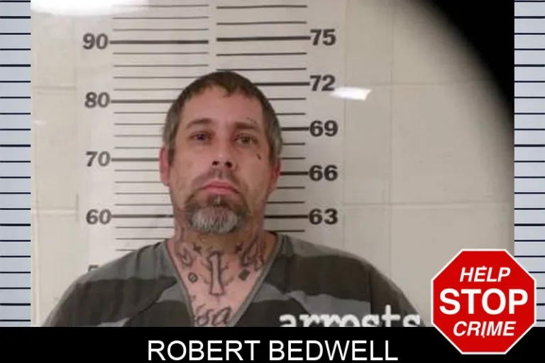 Robert Bedwell