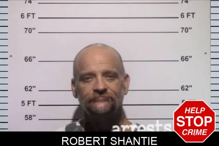 Robert Shantie