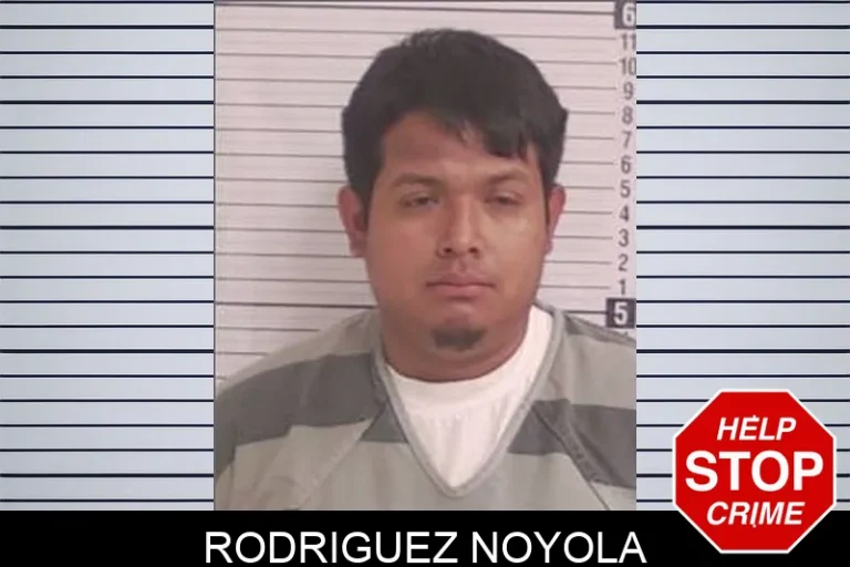 Rodriguez Noyola