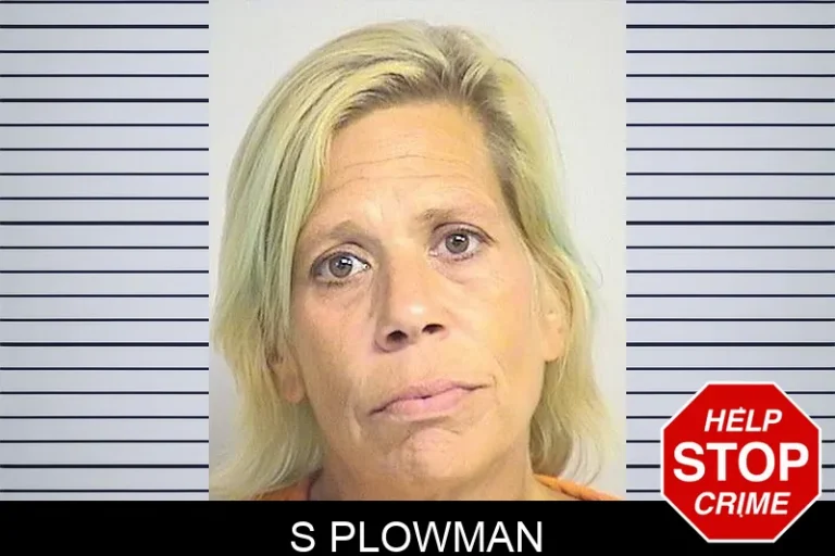 S Plowman