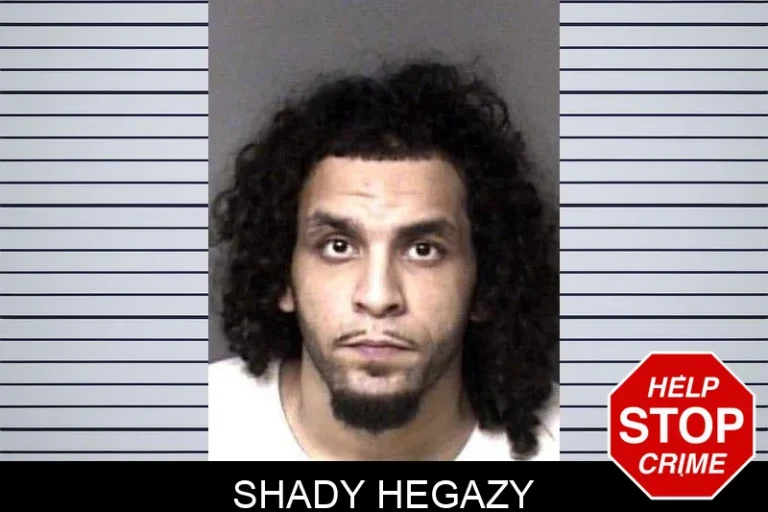 Shady Hegazy