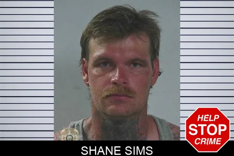 Shane Sims