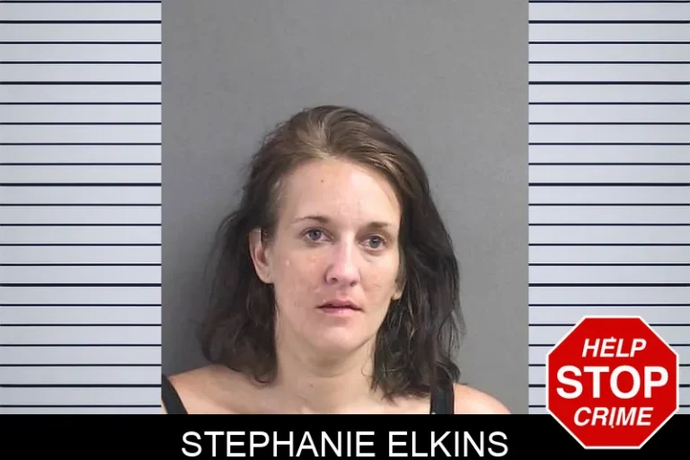 Stephanie Elkins