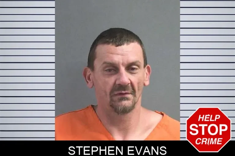 Stephen Evans