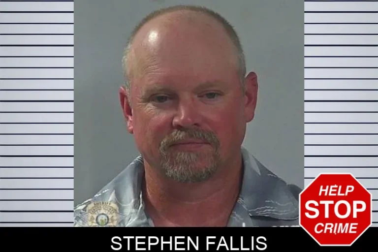 Stephen Fallis