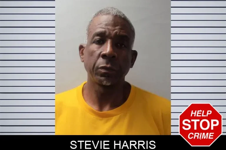 Stevie Harris