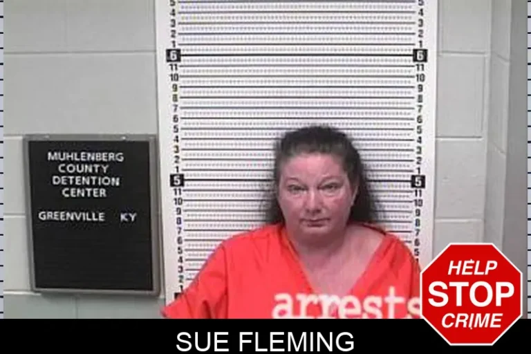 Sue Fleming