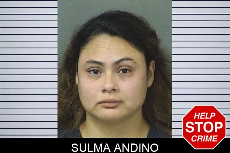 Sulma Andino