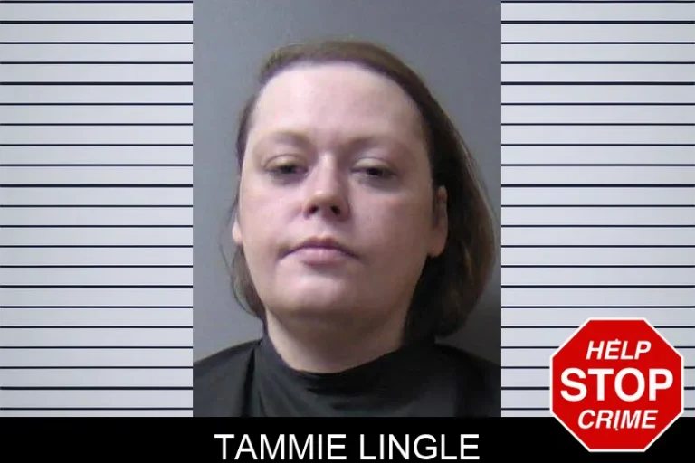 Tammie Lingle