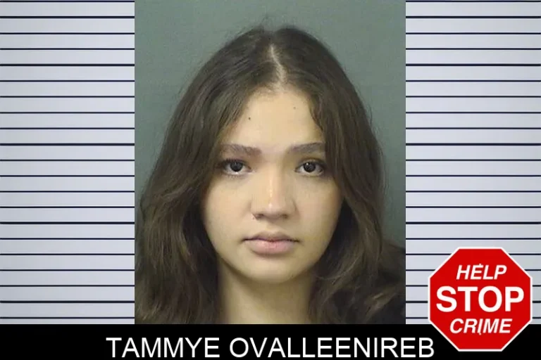 Tammye Ovalleenireb