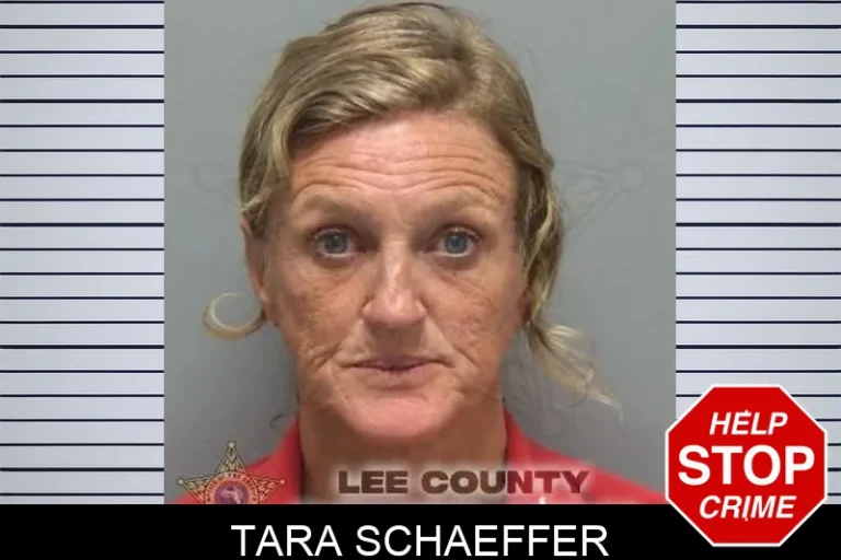 Tara Schaeffer