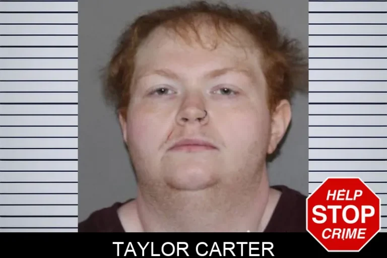 Taylor Carter