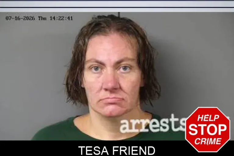 Tesa Friend