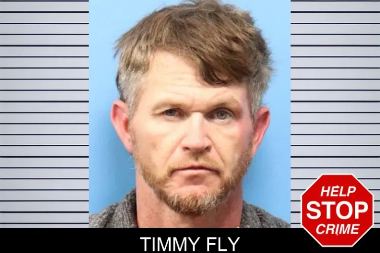 Timmy Fly