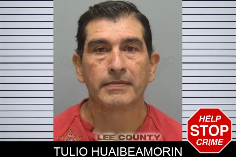 Tulio HuaibeAmorin