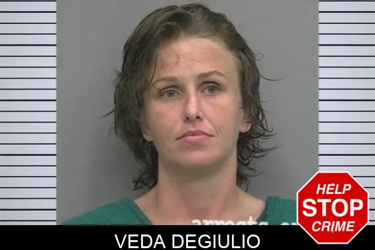 Veda Degiulio