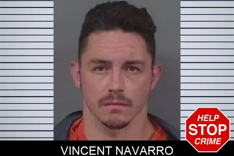 Vincent Navarro