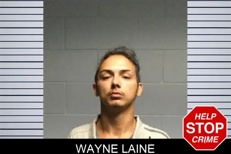 Wayne Laine