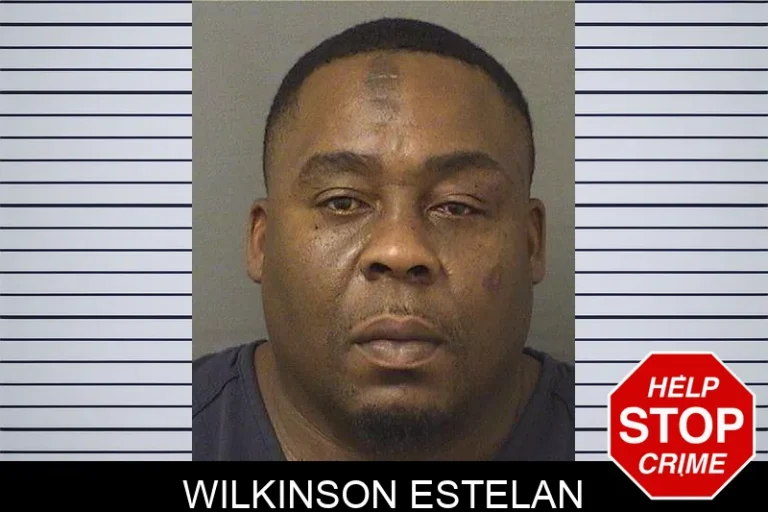 Wilkinson Estelan