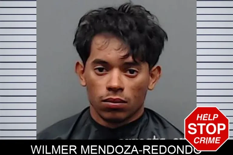 Wilmer Mendoza-Redondo
