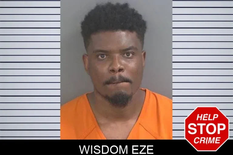 Wisdom Eze