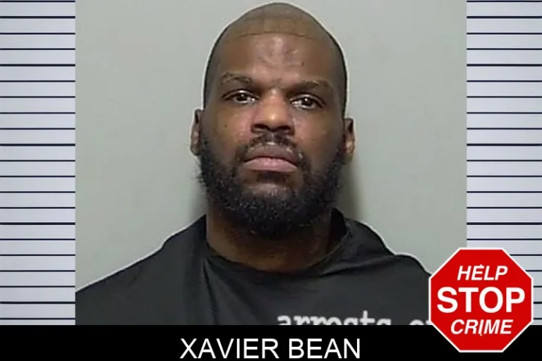 Xavier Bean
