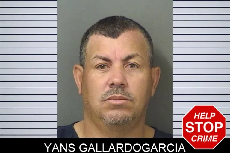 Yans Gallardogarcia