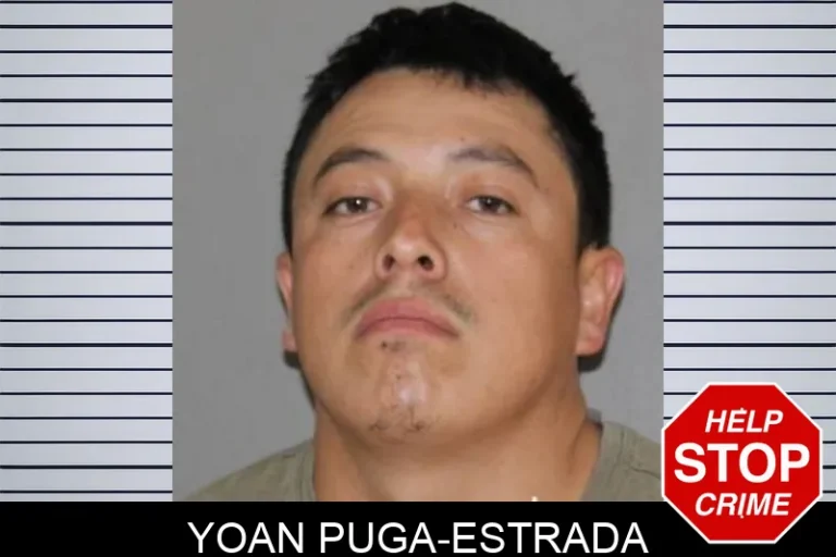 Yoan Puga-Estrada