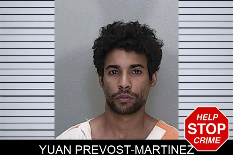 Yuan Prevost-Martinez