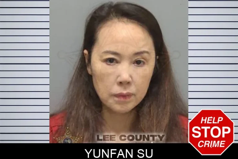 Yunfan Su