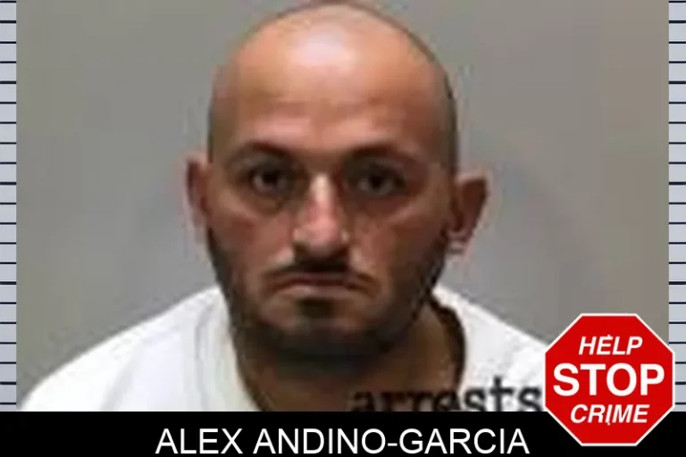 Alex Andino-Garcia